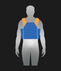 Plate Carrier
