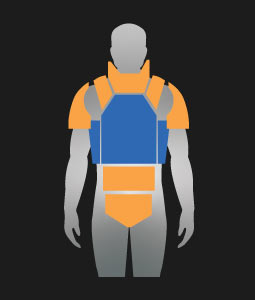 Scalable Plate Carrier